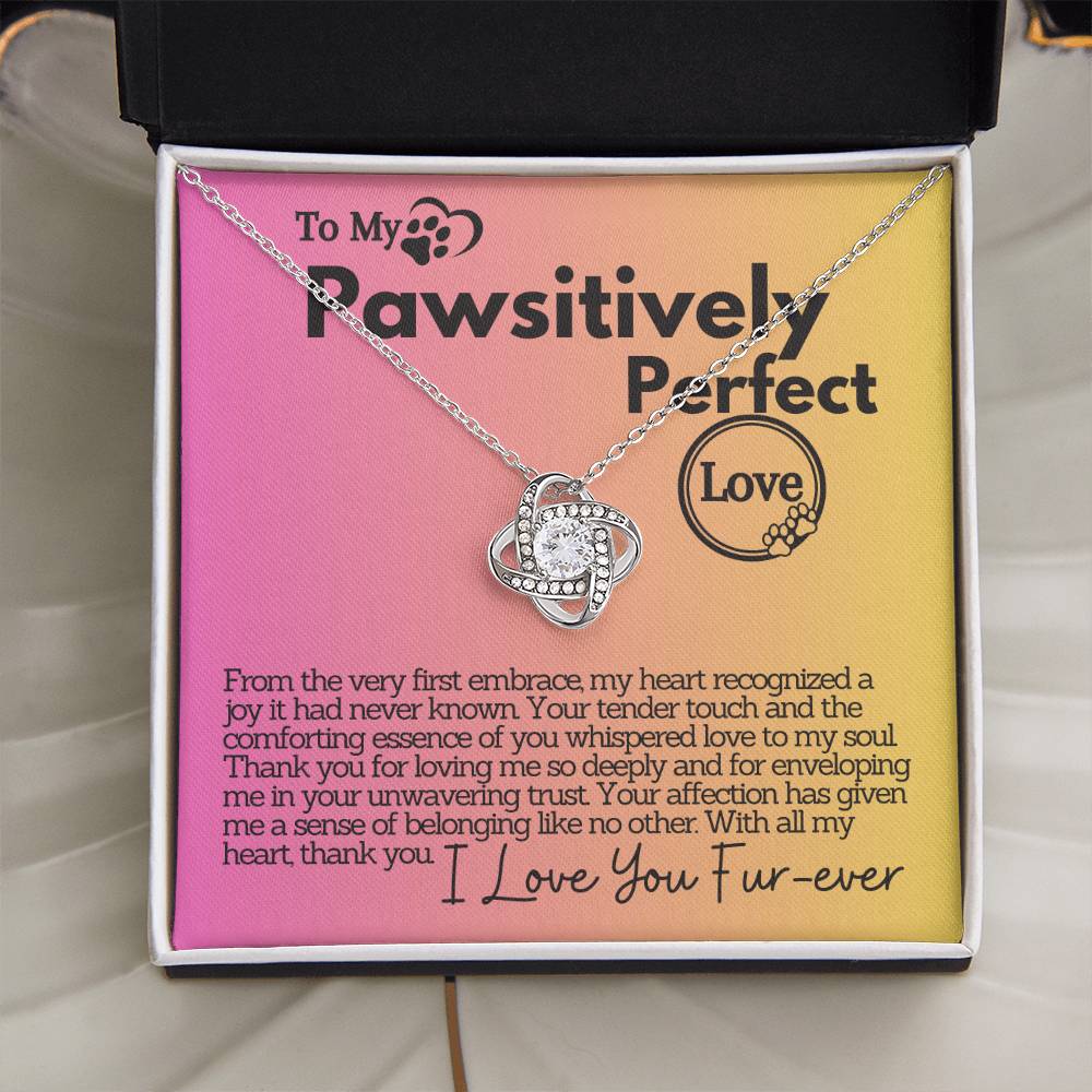 Pawsitively Perfect Love: A Heartfelt Thank You and Unwavering Trust