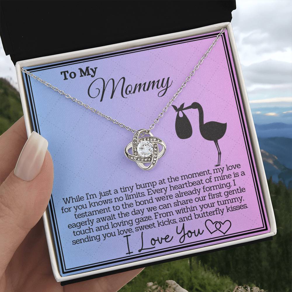 Unborn Baby's Love Letter to Mommy