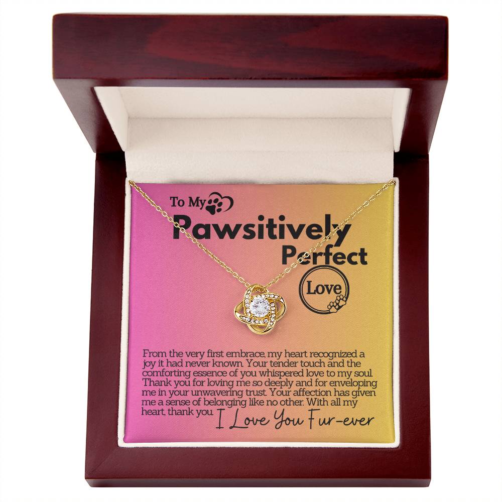 Pawsitively Perfect Love: A Heartfelt Thank You and Unwavering Trust