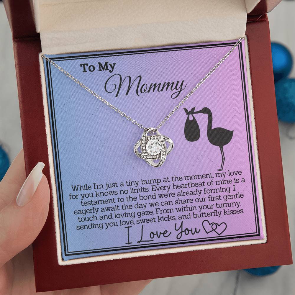 Unborn Baby's Love Letter to Mommy