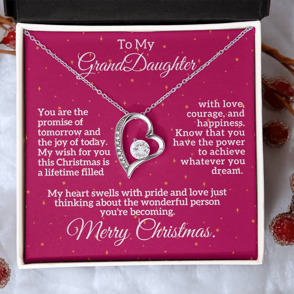 Merry Christmas to My Granddaughter: A Lifetime of Love, Courage, and Happiness