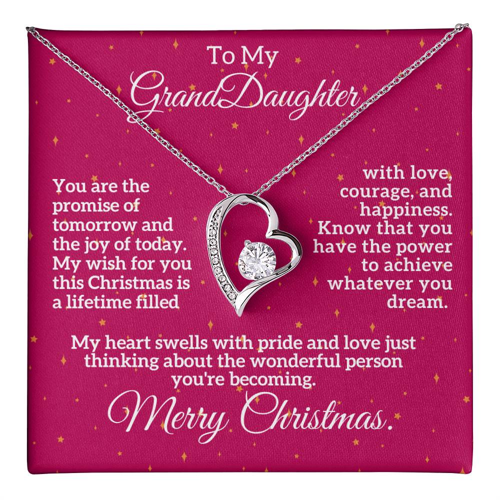 Merry Christmas to My Granddaughter: A Lifetime of Love, Courage, and Happiness