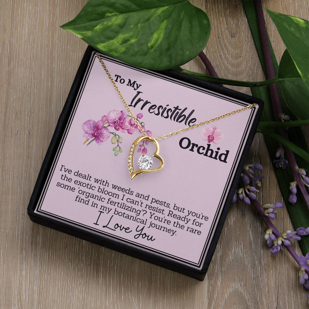 My Irresistible Orchid - A Rare Find in My Botanical Journey